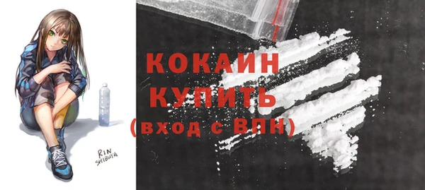 шишки Баксан