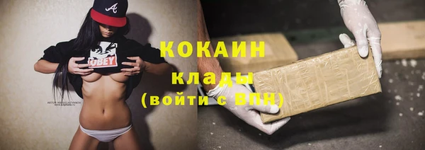 шишки Баксан