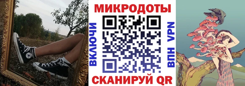 Псилоцибиновые грибы Psilocybine cubensis Верхняя Тура
