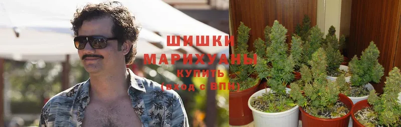 МАРИХУАНА ГИДРОПОН  купить наркоту  МЕГА рабочий сайт  Верхняя Тура 